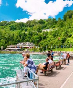 Tour Zurich 1/2 ngày: đi Thác Rhine và thang máy ngắm cảnh