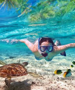 Maldives: Trải nghiệm thủy phi cơ và 2 đêm nghỉ dưỡng đẳng cấp tại Siyam World Maldives Resort 5*